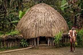Rumah Adat Papua
