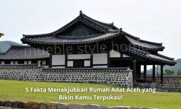 rumah adat aceh